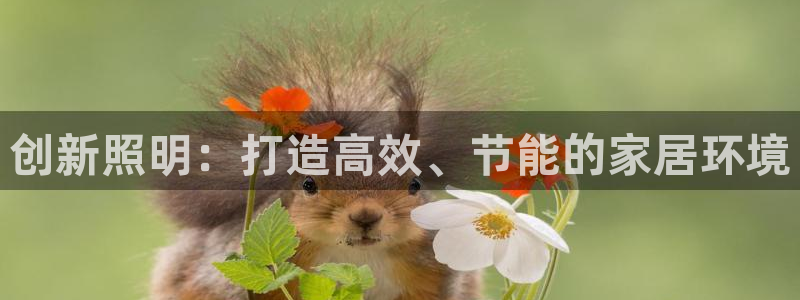 创新照明:打造高效、节能的家居环境