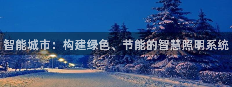 智能城市:构建绿色、节能的智慧照明系统
