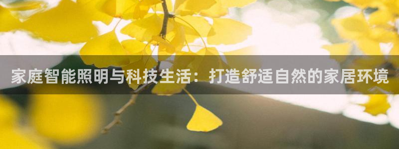 家庭智能照明与科技生活:打造舒适自然的家